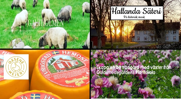 bildcollage