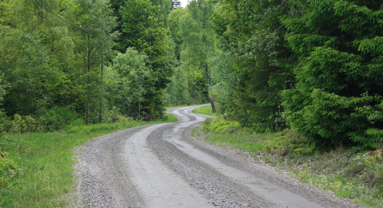 Grusväg som går igenom naturen.