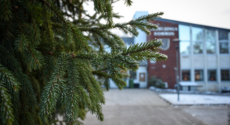 Herrljunga kommunhus bakom julgran på torget