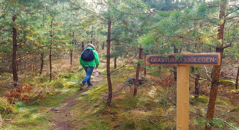 Grästorpasjöleden. En person går i skogen, skylt med texten Grästorpasjön står invid leden. på skylten står det Grästorpasjöleden.