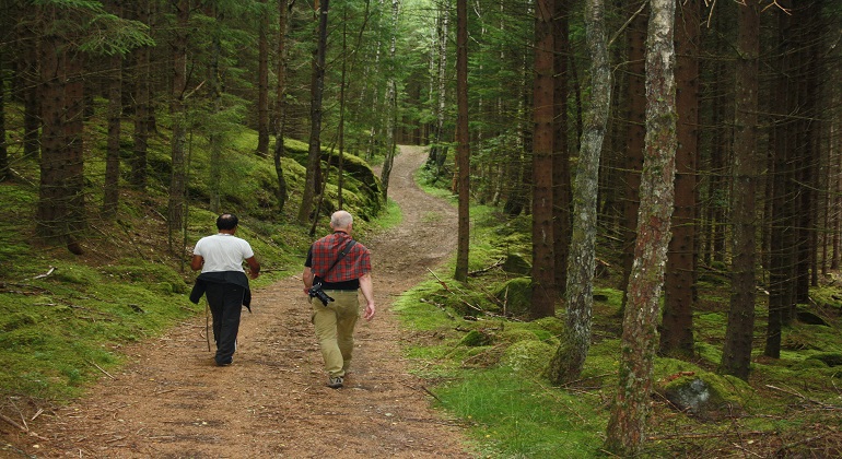 Foto: Birgitta Saunders. Två personer vandrar utmed den äldre väg i Hackebergskogen.