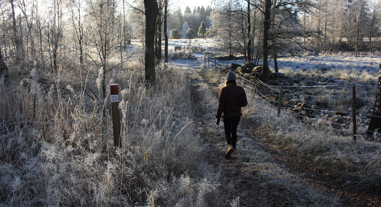Vandring på Elisabeth Hesselbladsleden. Frostigt vinterlandskap. En person syns bakifrån.