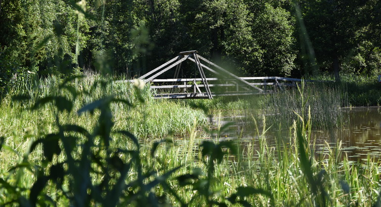 Bro över sjö i Herrljunga hembygdspark