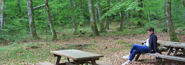 Foto visar kvinna som sitter vid ett picnicbord i Stora Mollungens bokskog. Träden är gröna och vissnade löv ligger på marken., Foto: Birgitta Saunders. 