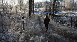 Vandring på Elisabeth Hesselbladsleden. Frostigt vinterlandskap. En person syns bakifrån.