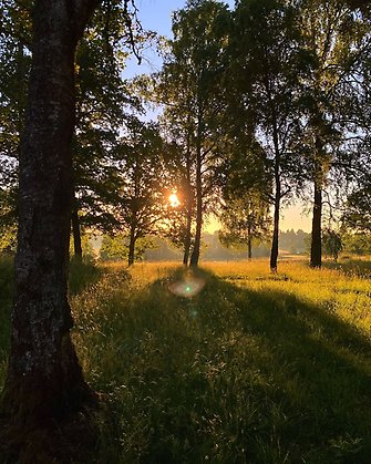 Nycklabacken i morgonsol